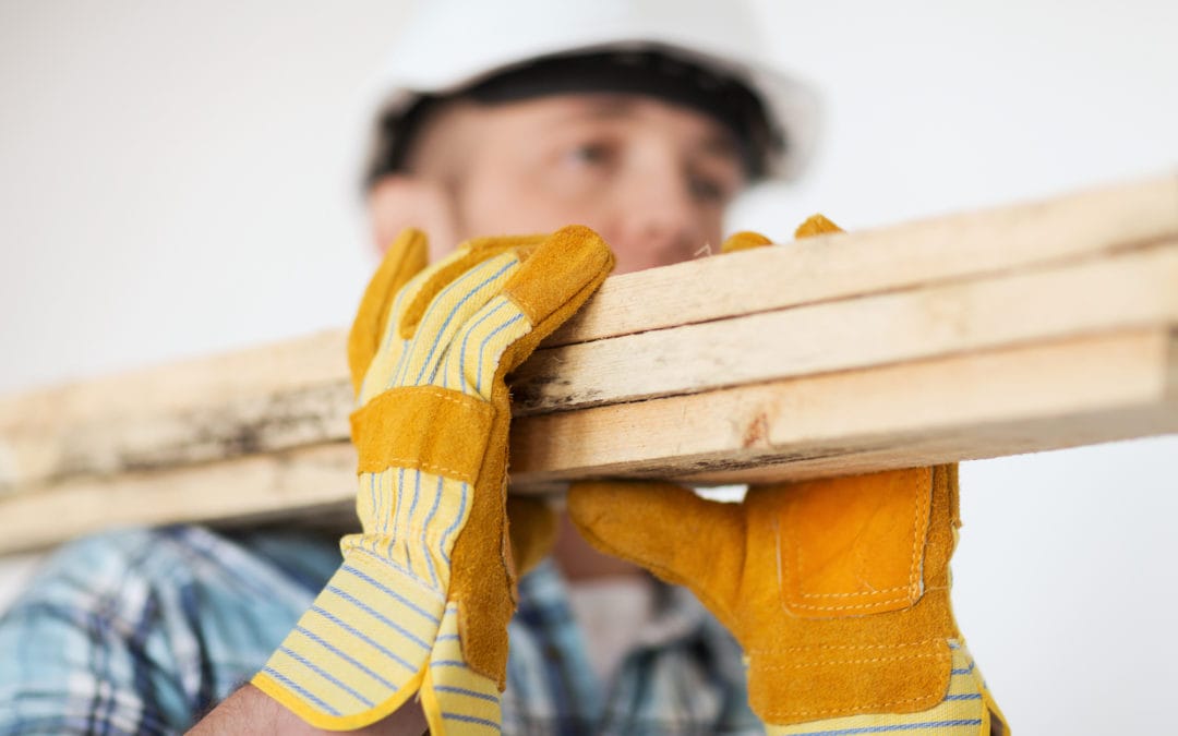 Habitat for Humanity – the Volunteer Experience