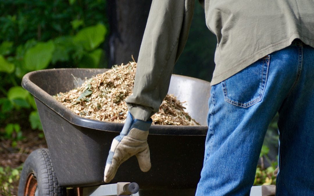 3 Basic Yard Maintenance Tips for New Habitat Homeowners