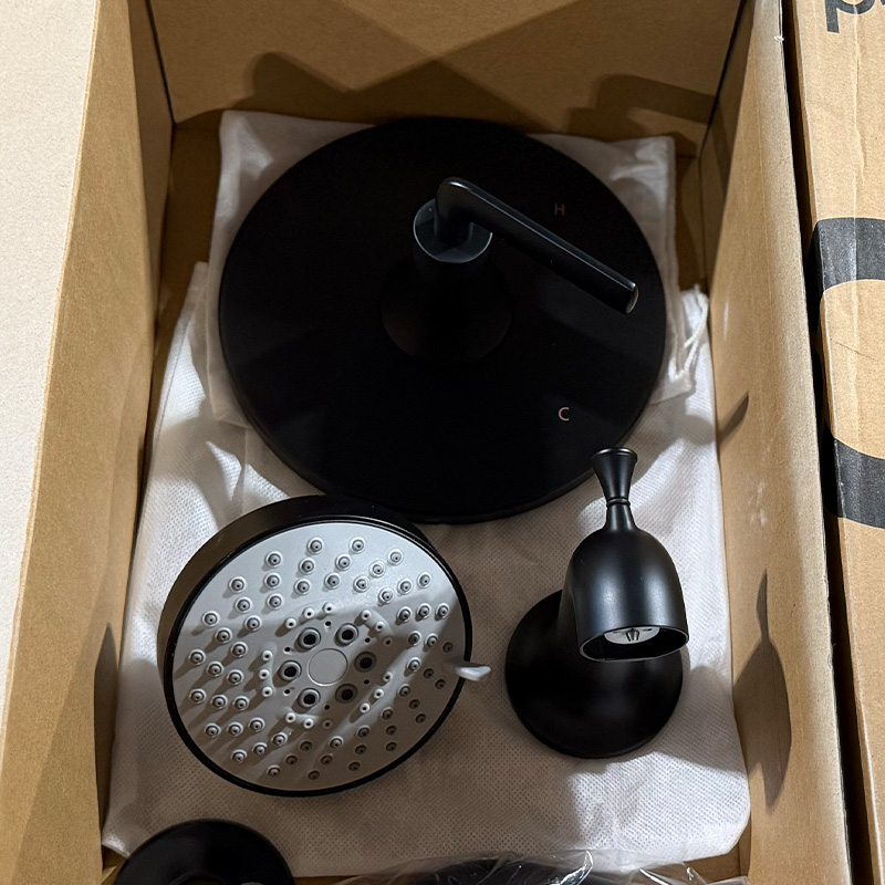 Matte Black Tub and Shower Faucet
